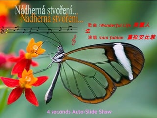 Nádherná stvoření... 4 seconds Auto-Slide Show 歌曲 :Wonderful Life  美麗人生 演唱 :lara fabian  蘿拉安比菲 