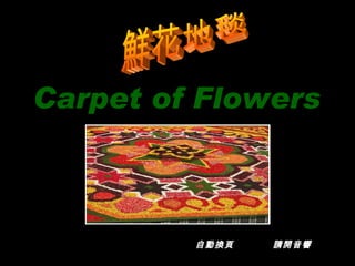 Carpet of Flowers   鮮花地毯 自動換頁  請開音響   