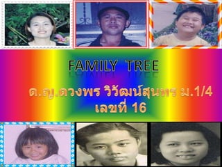 Family  tree ด.ญ.ดวงพร วิวัฒน์สุนทร ม.1/4 เลขที่ 16 