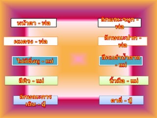 หน้าตา - พ่อลักษณะจมูก - พ่อผมตรง - พ่อลักษณะปาก - พ่อไม่มีติ่งหู - แม่สีผมดำน้ำตาล - แม่สีผิว - แม่นิ้วมือ - แม่ลักษณะการเดิน - ปู่ตาตี่ - ปู่