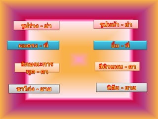 รูปหน้า - ย่ารูปร่าง - ย่าผมตรง - พี่ยิ้ม - พี่สีผิวแทน - ตาลักษณะการพูด - ตานิสัย - ยายขาโก่ง - ยาย