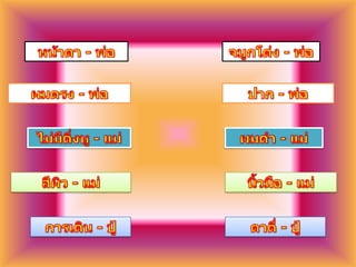หน้าตา - พ่อจมูกโด่ง - พ่อผมตรง - พ่อปาก - พ่อไม่มีติ่งหู - แม่ผมดำ - แม่สีผิว - แม่นิ้วมือ - แม่การเดิน - ปู่ตาตี่ - ปู่
