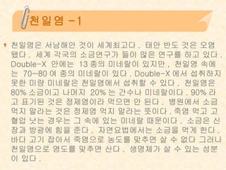 천일염-1 천일염은 서남해안 것이 세계최고다 .  태안 반도 것은 오염 됐다 .  세계 각국의 소금연구가 들이 많은 연구를 하고 있다 . Double-X  안에는  13 종의 미네랄이 있지만 ,  천일염 속에는  70~80 여 종의 미네랄이 있다 . Double-X 에서 섭취하지 못한 미량 미네랄은 천일염에서 섭취할 수 있다 .  천일염은  80% 소금이고 나머지  20% 는 간수나 미네랄이다 . 90% 라고 표기된 것은 정제염이라 먹으면 안 된다 .  병원에서 소금 먹지 말라는 것은 정제염 먹지 말라는 뜻이다 . 죽염 먹고 고혈압 낫는 경우는 그 속에 있는 미네랄 때문이다 .  소금은 신장과 방광에 힘을 준다 .  자연요법에서는 소금을 먹게 한다 .  바다 고기 잡아서 죽염으로 농도를 맞추면 살 수 없다 그러나 천일염으로 염도를 맞추면 산다 .  생명체가 살 수 있는 성분이 있다 .  