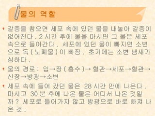 물의 역할 갈증을 참으면 세포 속에 있던 물을 내놓아 갈증이 없어진다. 2시간 후에 물을 마시면 그 물은 세포 속으로 들어간다. 세포에 있던 물이 빠지면 소변으로 독(노폐물)이 빠짐. 초기에는 소변 냄새가 심하다. 물의 경로: 입->장(흡수)->혈관->세포->혈관->신장->방광->소변 세포 속에 들어 갔던 물은 28시간 만에 나온다. 마시고 30분 후에 나온 물은 어디서 나온 것일까? 세포로 들어가지 않고 방광으로 바로 빠져 나온 것. 