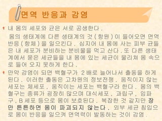 면역 반응과 감염 내 몸의 세포와 균은 서로 공생한다 .  몸의 생태계에 다른 생태계의 것 ( 항원 ) 이 들어오면 면역 반응 ( 항체 ) 을 일으킨다 .  심지어 내 몸에 사는 피부 균들은 내 세포가 분비하는 분비물을 먹고 산다 . 또 다른 생태계에서 묻은 세균들을 내 몸에 있는 세균이 물리쳐 몸 속으로 들어 오지 못하게 한다 .  만약 감염이 되면 백혈구가  2 배로 늘어나서 출동을 하게 된다 .  이러한 출동은 고차원의 정보전쟁 .  움직이지 않는 세포는 체세포 ,  움직이는 세포는 백혈구라 한다 .  몸의 백혈구는 종류가 굉장히 많으며 대식세포 ,  과립구 ,  임파구 , B 세포 등으로 몸이 보호된다 .  복잡한 것 같지만  장만 튼튼하면 몸이 파괴되지 않는다 .   외부 세균 침입으로 몸이 반응을 일으켜 면역력이 발동하는 것이 감염 .  
