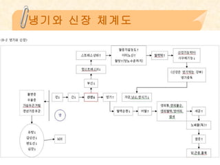 냉기와 신장 체계도 