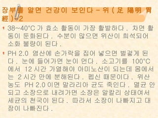 장부를 알면 건강이 보인다 - 위 ( 足 陽明 胃經 )-2 38~40°C가 효소 활동이 가장 활발하다. 차면 활동이 둔화된다. 수분이 많으면 위산이 희석되어 소화 불량이 된다.  PH 2.0 염산에 손가락을 집어 넣으면 벌겋게 된다. 눈에 들어가면 눈이 먼다. 소고기를 100°C에서 12시간 가열해야 아미노산이 되는데 몸에서는 2시간 만에 분해된다. 펩신 때문이다. 위산 농도 PH 2.0이면 말라리아 균도 죽인다. 멸균 안되고 소장으로 내려가면 소장은 알칼리 상태여서 세균의 천국이 된다. 따라서 소장이 나빠지고 대장이 나빠진다. 