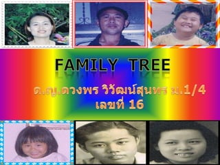 Family  tree ด.ญ.ดวงพร วิวัฒน์สุนทร ม.1/4 เลขที่ 16 