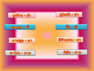 รูปหน้า - ย่ารูปร่าง - ย่าผมตรง - พี่ยิ้ม - พี่สีผิวแทน - ตาการพูด - ตานิสัย - ยายขาโก่ง - ยาย