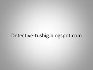Detective-tushig.blogspot.com