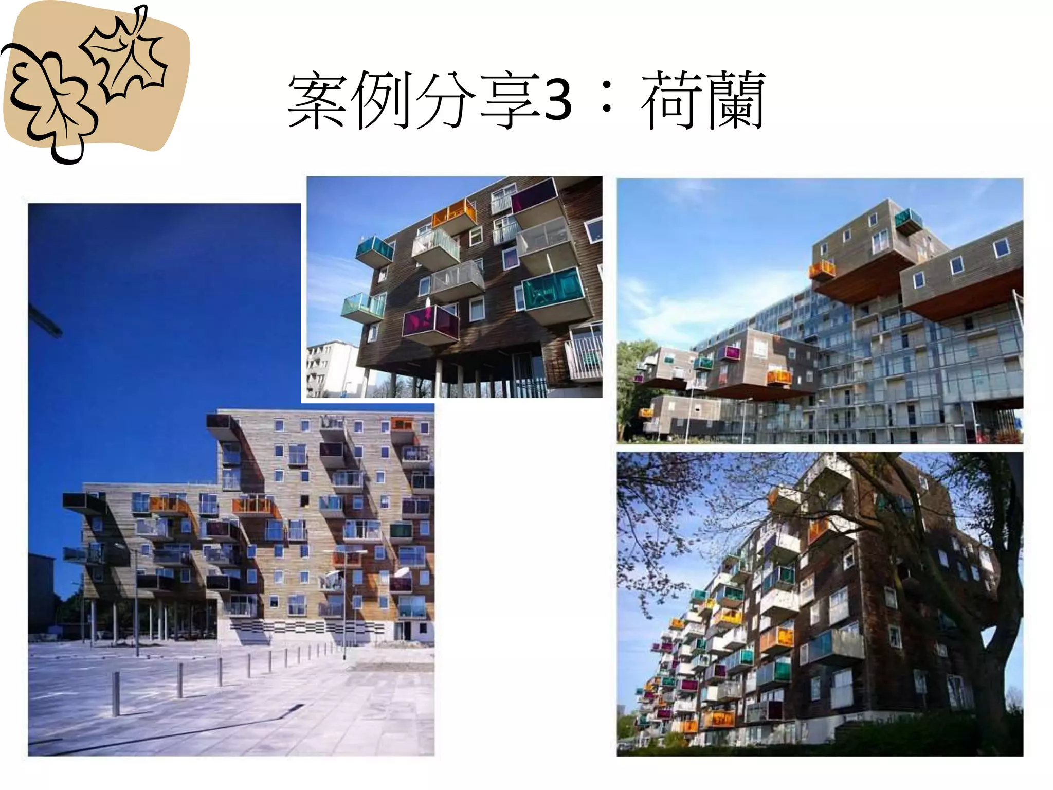 案例分享3：荷蘭
 