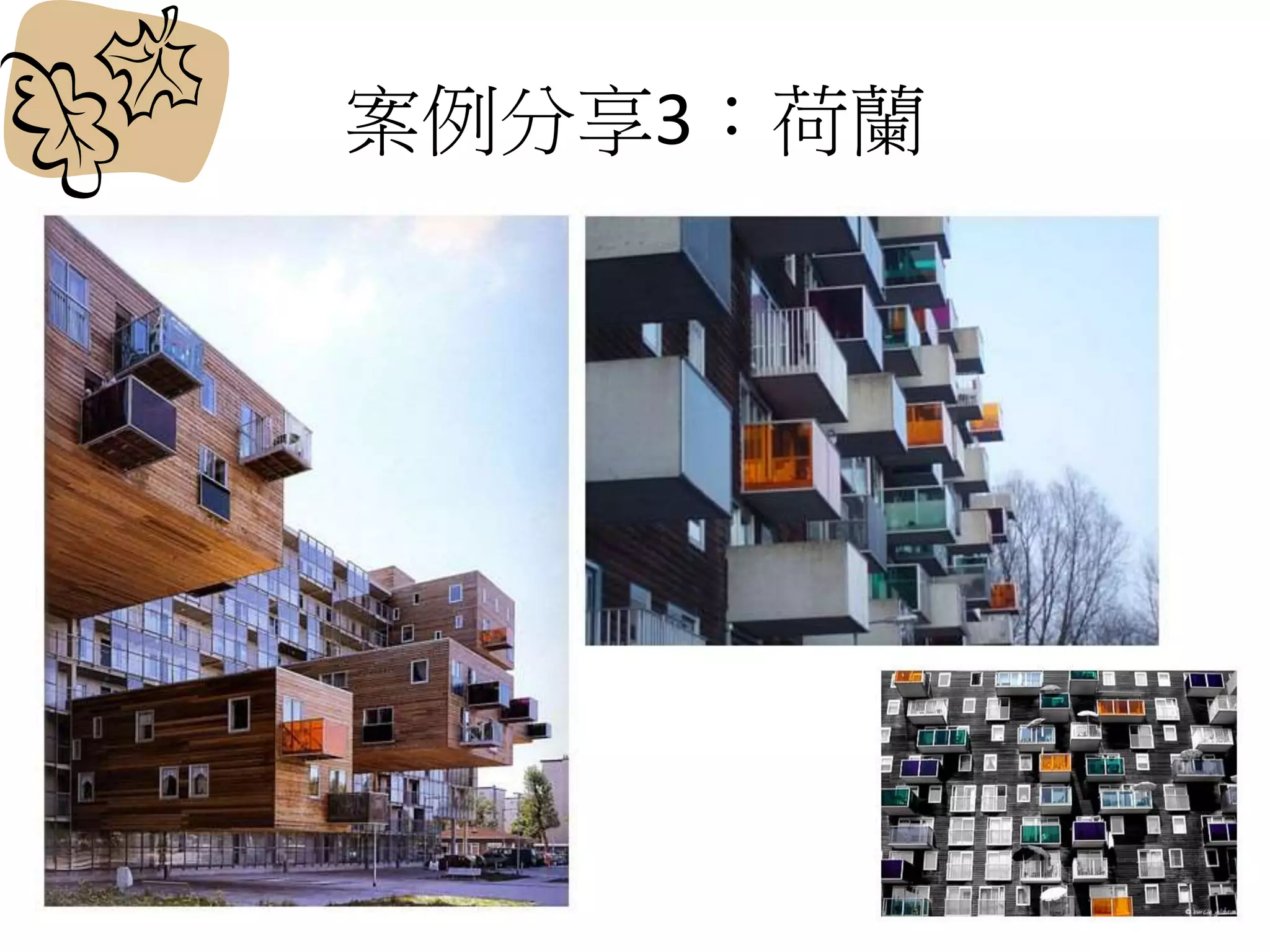 案例分享3：荷蘭
 