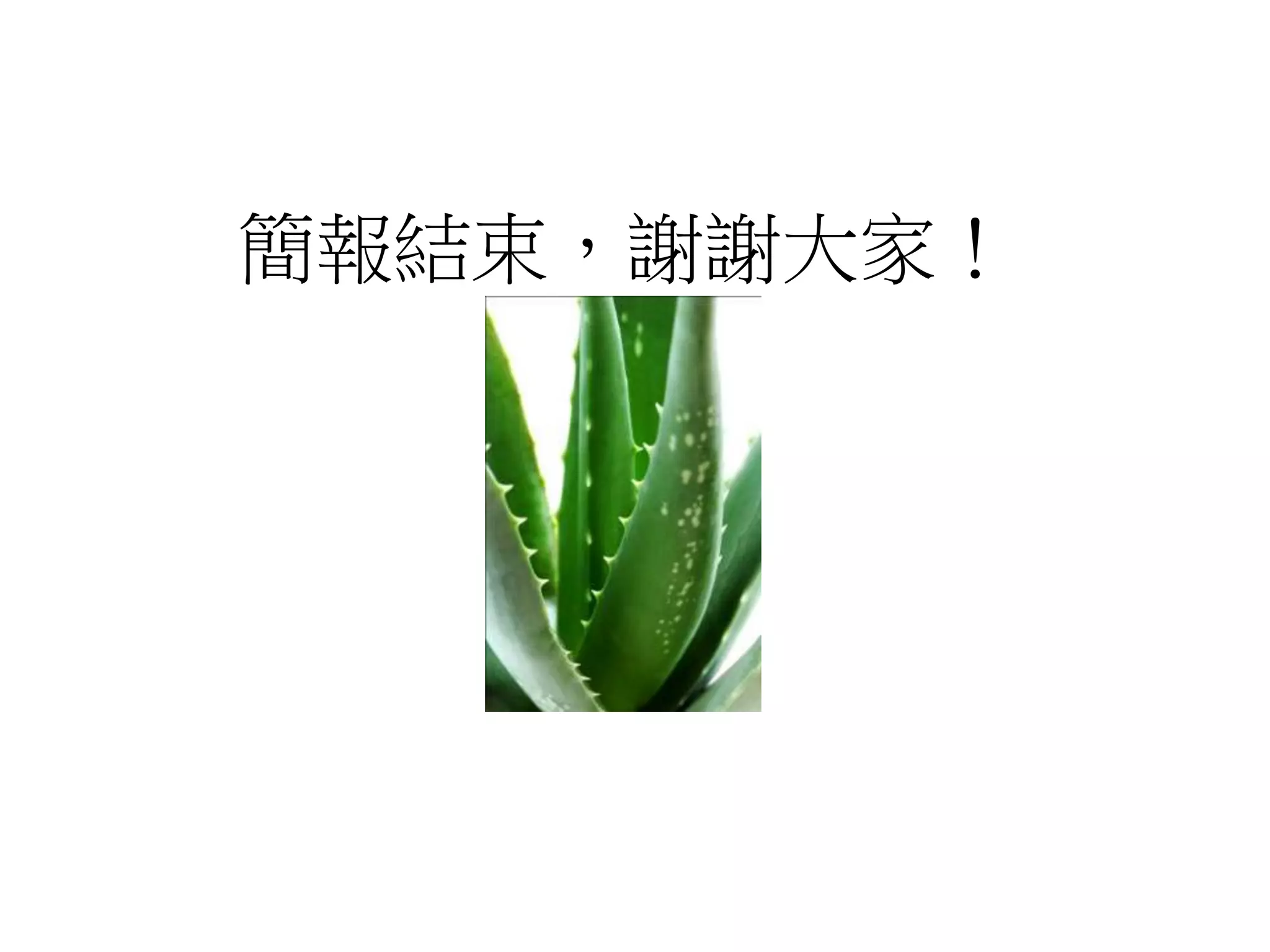 簡報結束，謝謝大家！
 