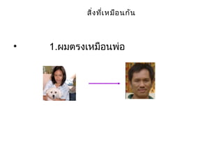 สิ่งที่เหมือนกัน
• 1.ผมตรงเหมือนพ่อ
 
