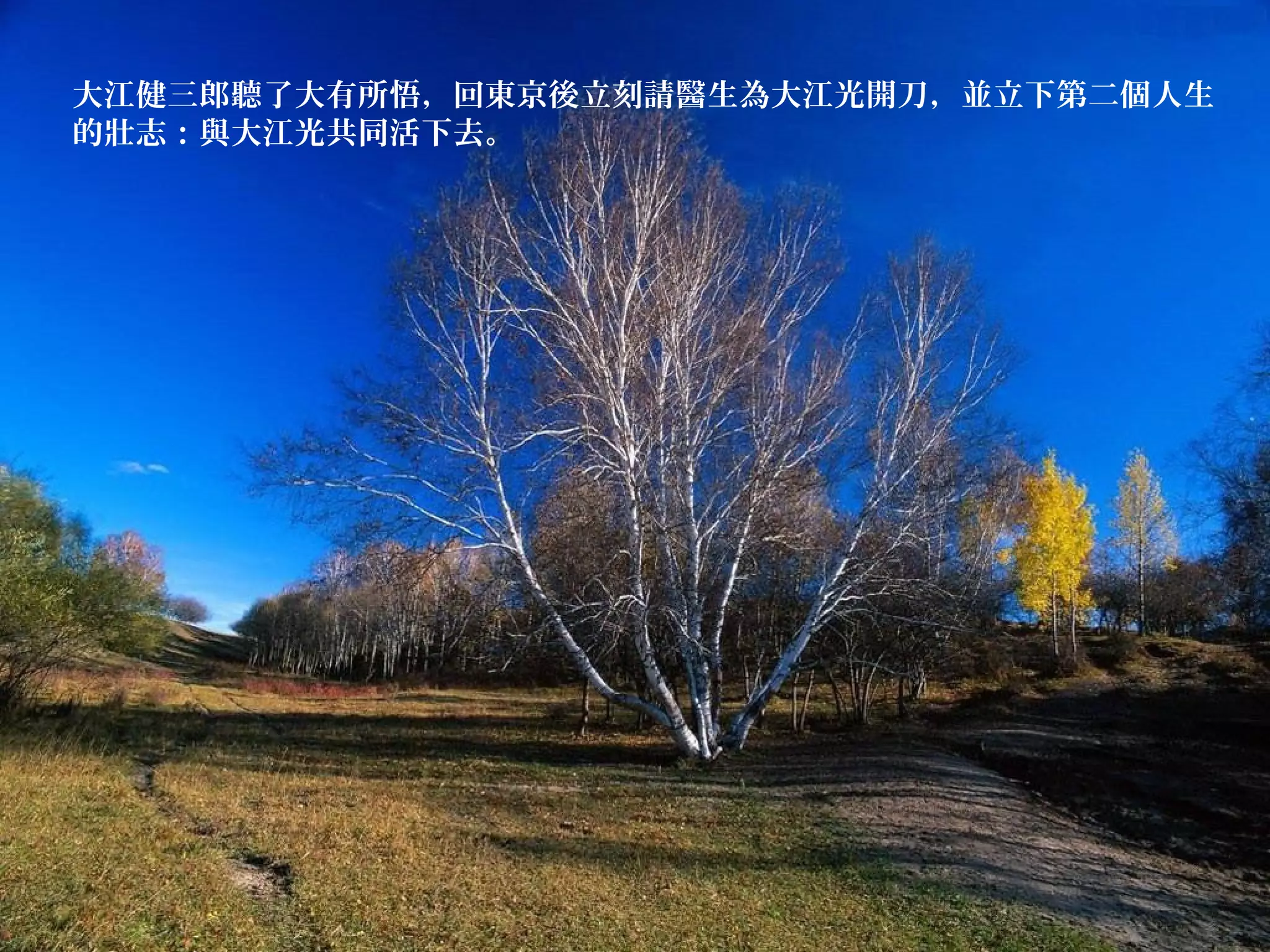 大江健三郎聽了大有所悟，回東京後立刻請醫生為大江光開刀，並立下第二個人生
的壯志：與大江光共同活下去。
 