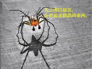 人之所以痛苦，
在於追求錯誤的東西。
 