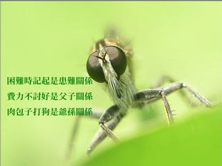 困難時記起是患難關係
費力不討好是父子關係
肉包子打狗是爺孫關係
 