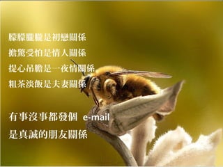 朦朦朧朧是初戀關係
擔驚受怕是情人關係
提心吊膽是一夜情關係
粗茶淡飯是夫妻關係
有事沒事都發個 e-mail
是真誠的朋友關係
 