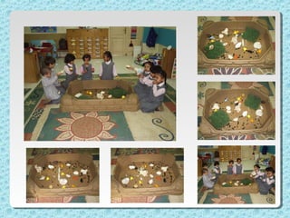 الماء والمطر