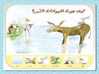 الماء والمطر