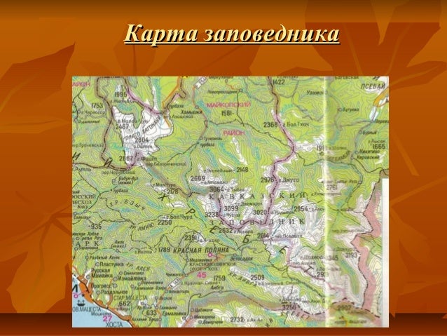 Кубанская нива карта