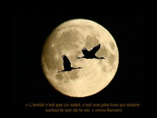 « L’amitié n’est pas un soleil, c’est une jolie lune qui éclaire
surtout le soir de la vie. » (Anne Barratin)