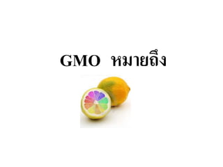 GMO หมายถึง
 
