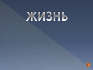 моя  семья – мое богатство