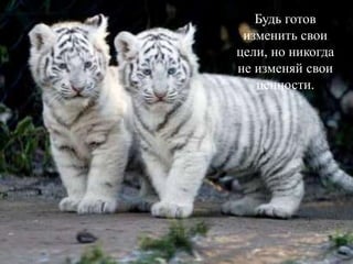 Будь готов
изменить свои
цели, но никогда
не изменяй свои
ценности.
 