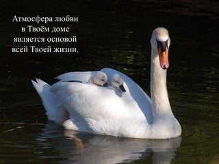 Атмосфера любви
в Твоём доме
является основой
всей Твоей жизни.
 