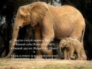 Всегда следуй правилу трёх R:
Уважай себя (Respect for Self),
Уважай других (Respect for Others)
и
Будь в ответе за все свои поступки
(Responsibility for all your Actions).
 