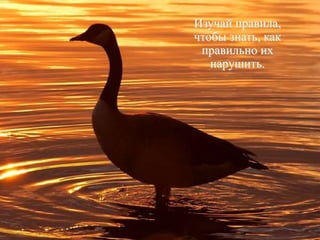 Изучай правила,
чтобы знать, как
правильно их
нарушить.
 