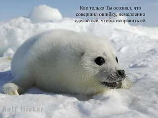 Как только Ты осознал, что
совершил ошибку, немедленно
сделай всё, чтобы исправить её.
 