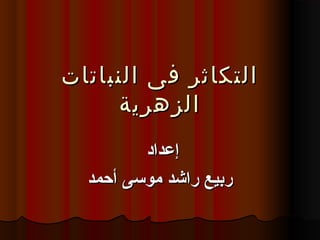 ‫النباتات‬ ‫فى‬ ‫التكاثر‬‫النباتات‬ ‫فى‬ ‫التكاثر‬
‫الزهرية‬‫الزهرية‬
‫إعداد‬‫إعداد‬
‫أحمد‬ ‫موسى‬ ‫راشد‬ ‫ربيع‬‫أحمد‬ ‫موسى‬ ‫راشد‬ ‫ربيع‬
 