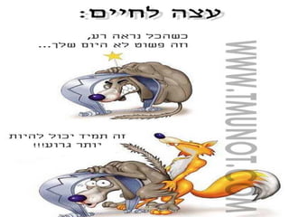 עצות לחיים