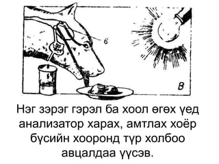 Нэг зэрэг гэрэл ба хоол өгөх үед
анализатор харах, амтлах хоёр
бүсийн хооронд түр холбоо
авцалдаа үүсэв.
 
