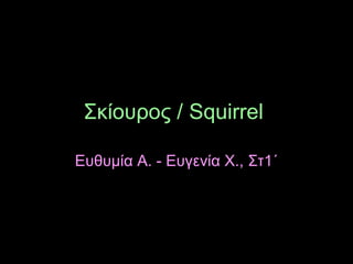 Σκίουρος / Squirrel
Ευθυμία Α. - Ευγενία Χ., Στ1΄
 
