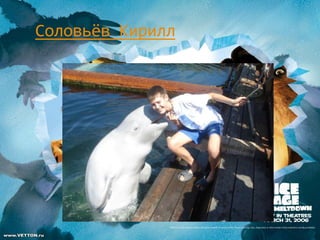Соловьёв Кирилл
 