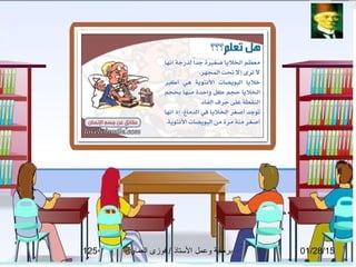 01/28/15‫العماوى‬ ‫فوزى‬ / ‫التستاذ‬ ‫وعمل‬ ‫برمجة‬125
 