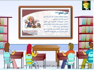 01/28/15‫العماوى‬ ‫فوزى‬ / ‫التستاذ‬ ‫وعمل‬ ‫برمجة‬4
 