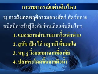 2) การสังเกตพฤติกรรมของสัตว์ สัตว์หลาย
ชนิดมีการรับรู้ถึงภัยก่อนเกิดแผ่นดินไหว
1. แมลงสาบจานวนมากวิ่งเพ่งพ่าน
2. สุนัข เป็ด ไก่ หมู หมี ตื่นตกใจ
3. หนู งู วิ่งออกมาจากที่อาศัย
4. ปลากระโดดขึ้นจากผิวน้า
 