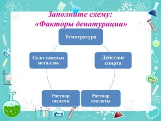 Заполните схему:
«Факторы денатурации»
 