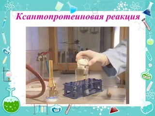 Ксантопротеиновая реакция
 