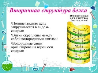 Вторичная структура белка
•Полипептидная цепь
закручивается в виде α-
спирали
•Витки скреплены между
собой водородными связями
•Водородные связи
ориентированы вдоль оси
спирали
 