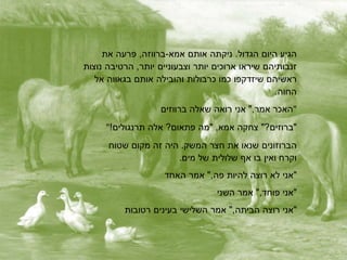 ‫הגיע‬‫היום‬‫הגדול‬.‫ניקתה‬‫אותם‬‫אמא‬-‫ברווזה‬,‫פרעה‬‫את‬
‫זנבותיהם‬‫שיראו‬‫ארוכים‬‫יותר‬‫וצבעוניים‬‫יותר‬,‫הרטיבה‬‫נוצות‬
‫ראשיהם‬‫שיזדקפו‬‫כמו‬‫כרבולות‬‫והובילה‬‫אותם‬‫בגאווה‬‫אל‬
.‫החוה‬
‫האכר‬‫אמר‬",‫אני‬‫רואה‬‫שאלה‬‫ברווזים‬ "
" ‫"ברוזים‬"?‫צחקה‬,‫אמא‬"‫מה‬‫פתאום‬?‫אלה‬!‫תרנגולים‬
‫הברוזונים‬‫שנאו‬‫את‬‫חצר‬‫המשק‬.‫היה‬‫זה‬‫מקום‬‫שטוח‬
‫וקרח‬‫ואין‬‫בו‬‫א‬‫שלולית‬‫של‬.‫מים‬
‫"אני‬‫לא‬‫רוצה‬‫להיות‬‫פה‬",‫אמר‬‫האחד‬
‫"אני‬‫פוחד‬",‫אמר‬‫השני‬
‫"אני‬‫רוצה‬‫הביתה‬",‫אמר‬‫השלישי‬‫בעינים‬‫רטובות‬
 