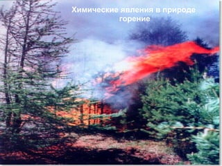 Химические явления в природе
горение
 