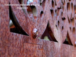 Химические явления в быту:
коррозия
 