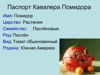 Сериал родина америка