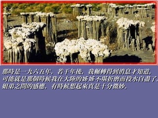 那時是一九六五年，若干年後，我輾轉得到消息才知道，那時是一九六五年，若干年後，我輾轉得到消息才知道，
可能就是那個時候我在大陸的 不堪折磨而投水自盡了。姊姊可能就是那個時候我在大陸的 不堪折磨而投水自盡了。姊姊
姐弟之間的感應，有時候想起來真是十分微妙。姐弟之間的感應，有時候想起來真是十分微妙。
 