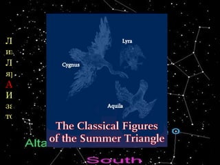Това са звезди от три съзвездия - Лебед,Това са звезди от три съзвездия - Лебед,
Лира и Орел. Но и всяка звезда в съзвездията сиЛира и Орел. Но и всяка звезда в съзвездията си
има свое име. Най-ярката звезда в съзвездиетоима свое име. Най-ярката звезда в съзвездието
Лебед се наричаЛебед се нарича Денеб,Денеб, звездатазвездата ВегаВега е най-е най-
ярка в съзвездието Лира, малко по-надолу еярка в съзвездието Лира, малко по-надолу е
АлтаирАлтаир - най-ярката звезда в съзвездието Орел.- най-ярката звезда в съзвездието Орел.
Имената на тези звезди не е много лесно да сеИмената на тези звезди не е много лесно да се
запомнят, но на небето се намират лесно, защотозапомнят, но на небето се намират лесно, защото
точно те образуват големия триъгълник.точно те образуват големия триъгълник.
 